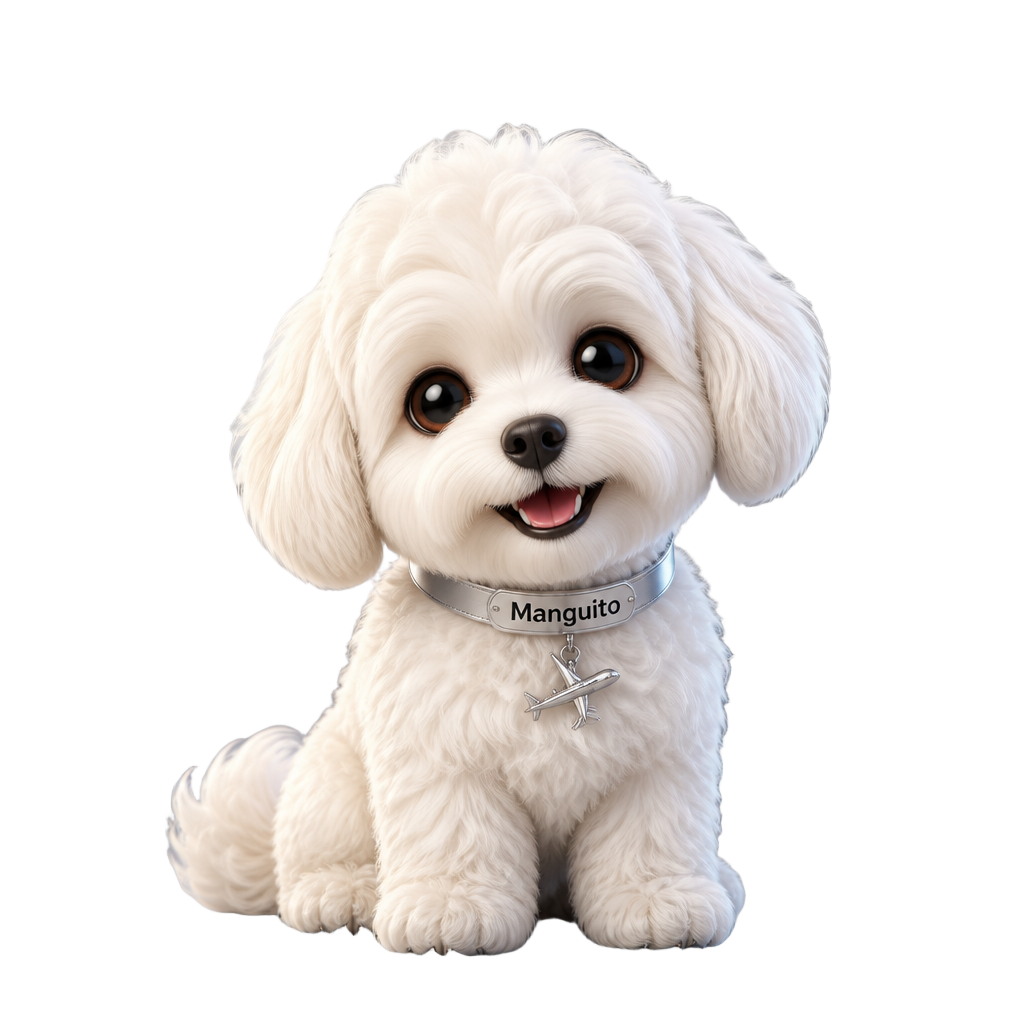 Manguito, asistente virtual Maltipoo de Importadora HC 88